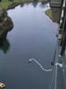 Bill Moss Bungee Jumps