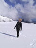 In the snow