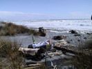 Picnic at Tasman Sea
