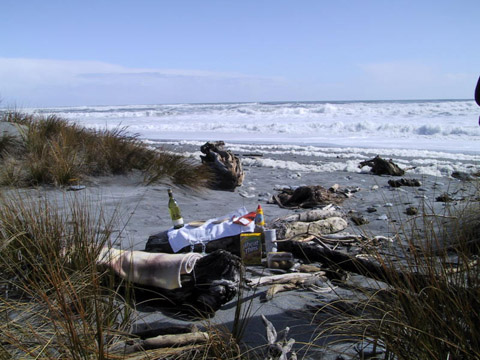 Picnic at Tasman Sea